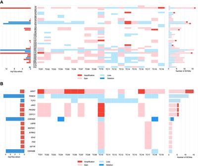 Novel Tumor-Specific Antigens for Immunotherapy Identified From Multi-omics Profiling in Thymic Carcinomas